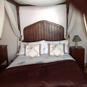 Alice 3* Cheltenham